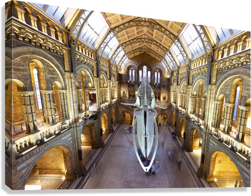 Night At The Museum Canvas Print