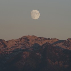 Moonrise