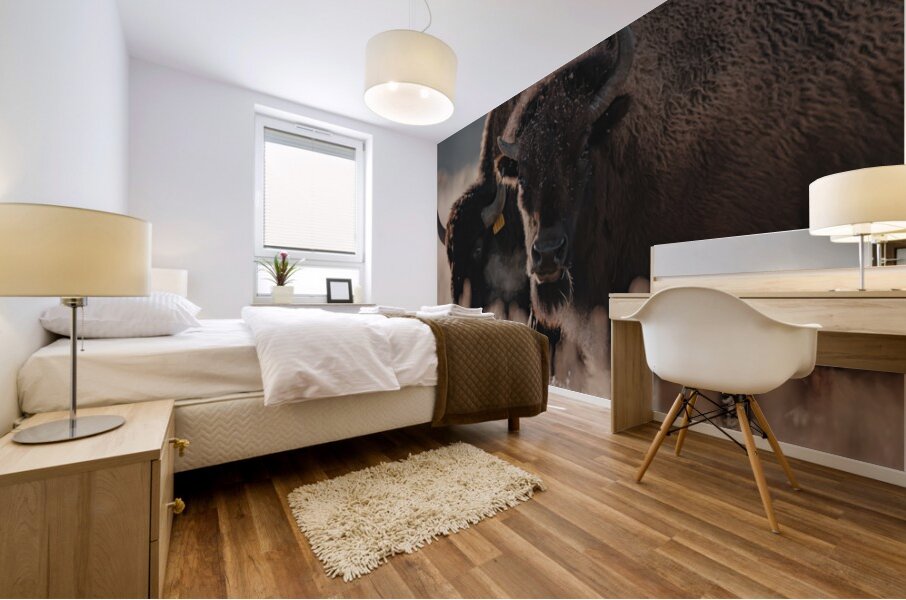 Bison Stare Mural print