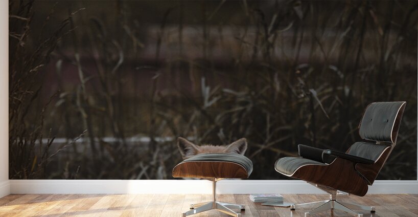 Baby Fox Wall Murals