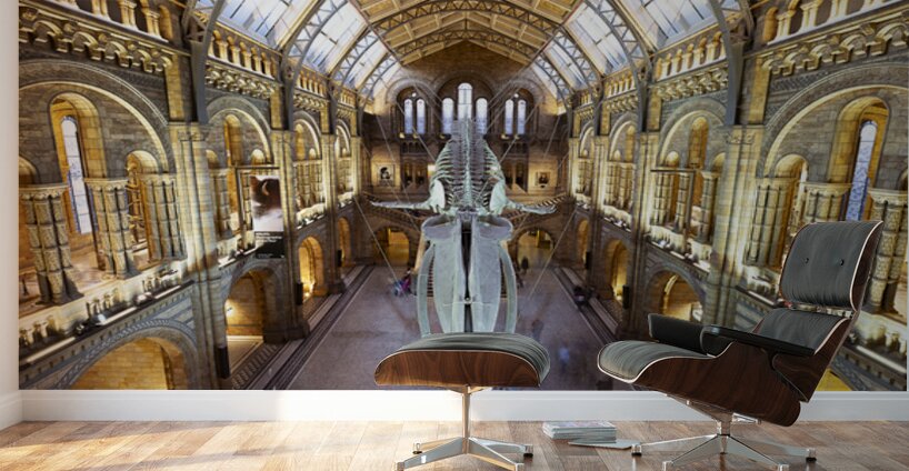 Night At The Museum Wall Murals