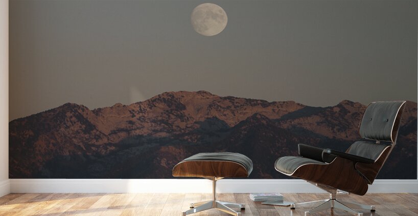 Moonrise Wall Murals