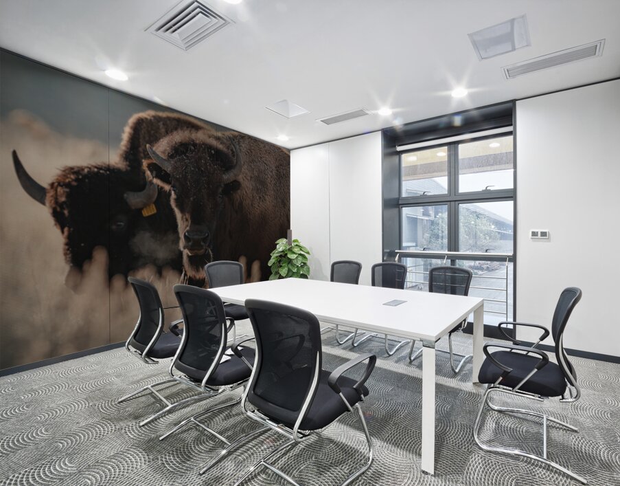 Bison Stare Wall Printing