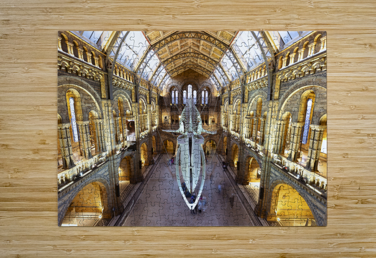 Night At The Museum Chris Johnson Puzzle printing