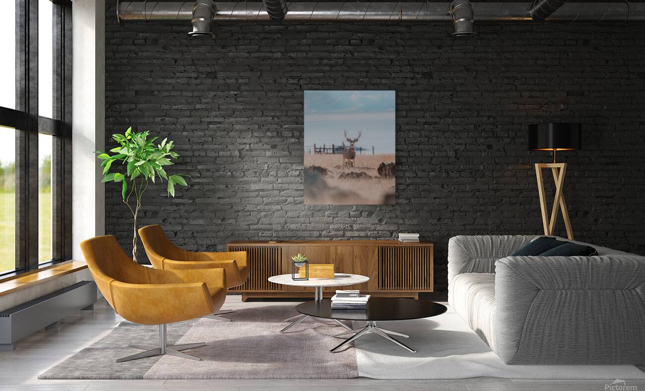 Antelope Island Buck Reproduction